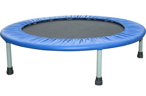 Trampoline Rebounder - Click to enlarge. << Previous Page