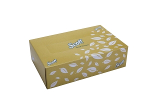 Scott Facial Tissue - Box 100